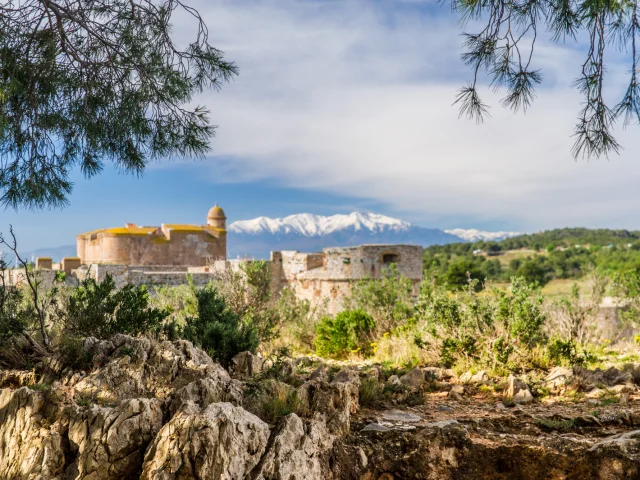 Vue de la forteresse de Salses entourée de végétation méditerranéenne, avec le Canigó enneigé en arrière-plan sous un ciel bleu.