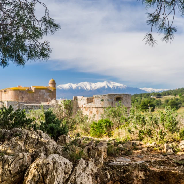 Vue de la forteresse de Salses entourée de végétation méditerranéenne, avec le Canigó enneigé en arrière-plan sous un ciel bleu.