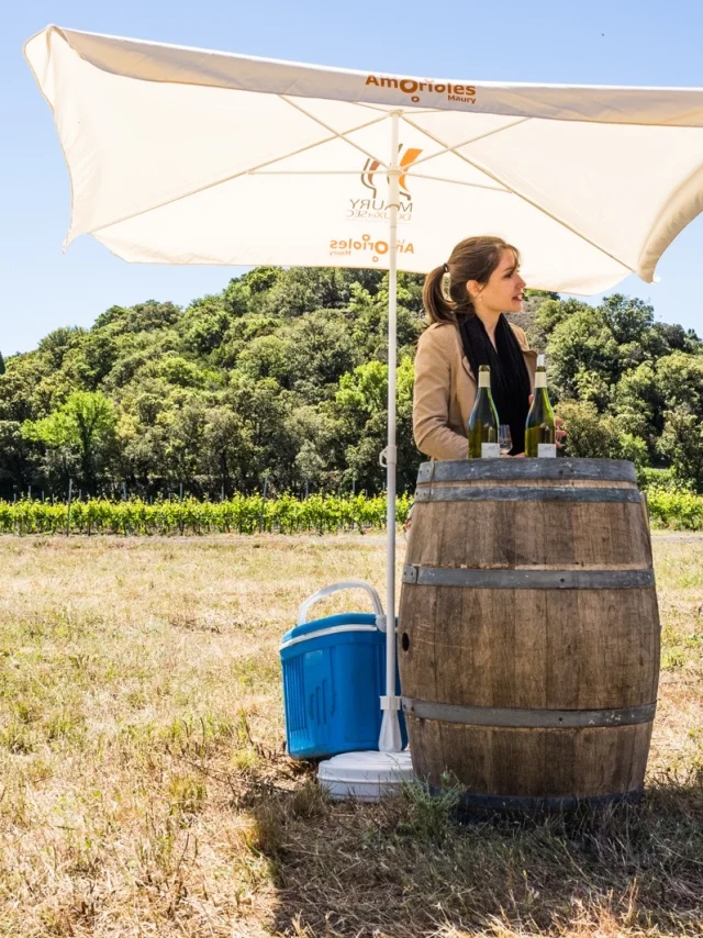 Dégustation de vins en plein air dans un vignoble, une vigneronne échange avec une visiteuse sous un parasol, bouteilles posées sur un tonneau.