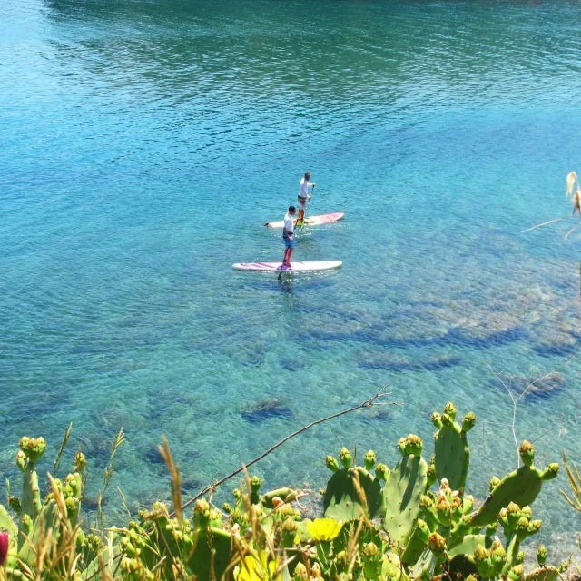 Deux personnes pratiquent le stand up paddle sur une eau turquoise bordée de végétation méditerranéenne et de figuiers de Barbarie.